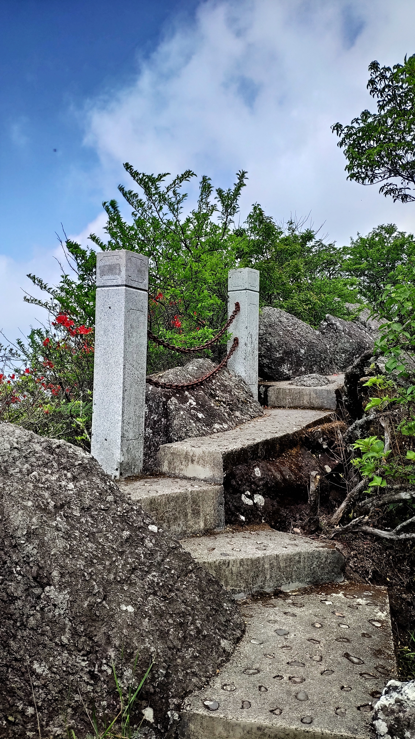 兰溪自驾游哪里好(离城市最近的国家森林公园！崇义阳明山是一个自驾游的好地方)