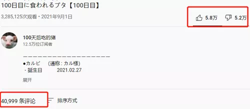 日本主播把养了100天的宠物猪烤着吃了,结果不到10天猪又复活了