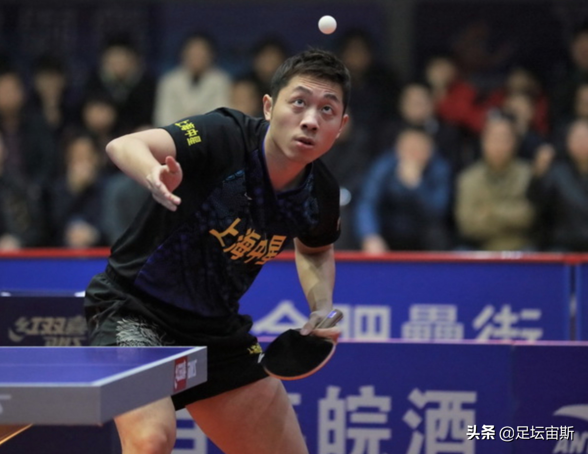 许昕有世界冠军吗（许昕横扫世界冠军！2战全胜率队击败最大黑马 王励勤陈玘现场观战）-趣拿体育