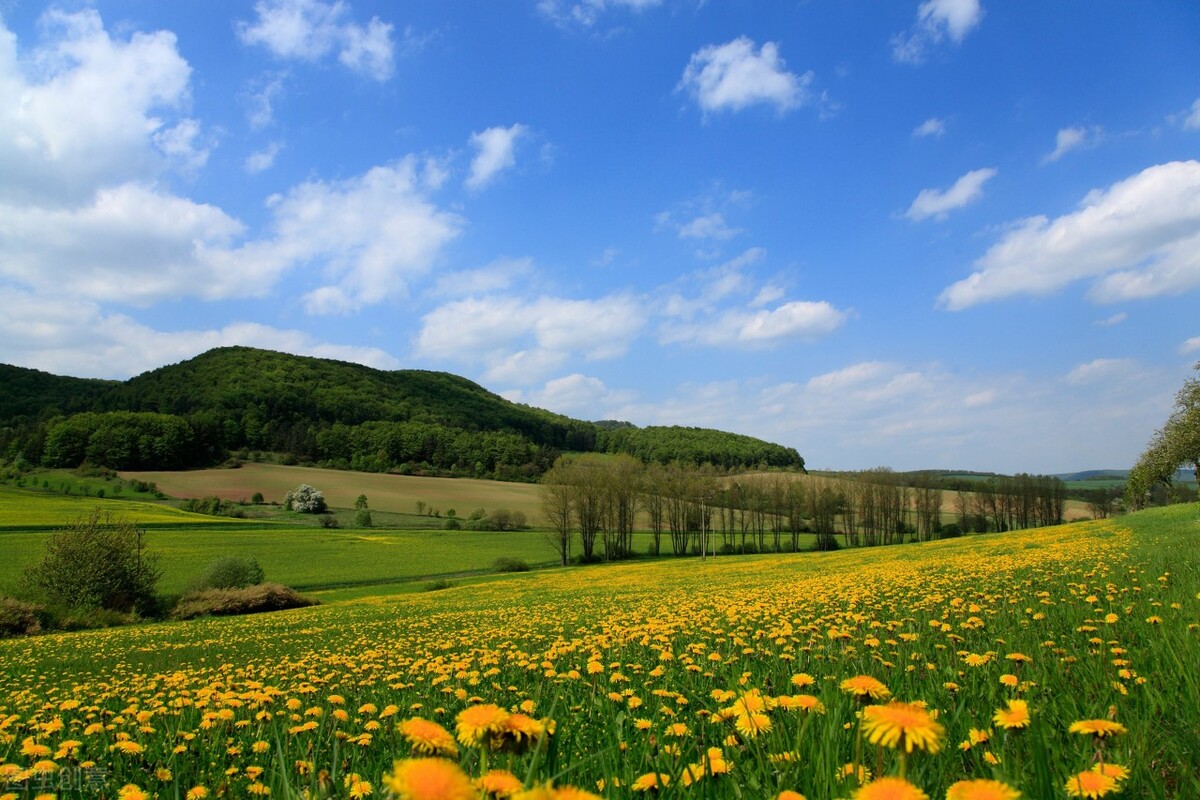 京喜的店群模式还能做多久？农村可以做京喜店群吗？