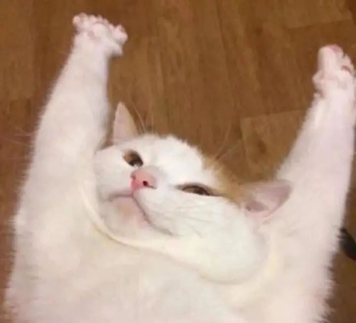 成都，大学校花来了！