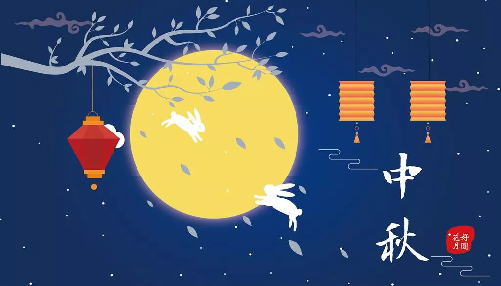 忙中偷闲，诗意栖居——静享片刻悠然时光
