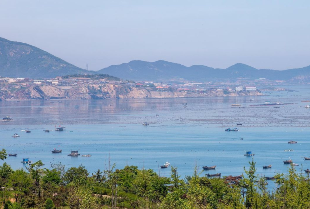 大连冬天室内好玩的地方有哪些(冬天去北方看海，不是疯了，是真会玩)