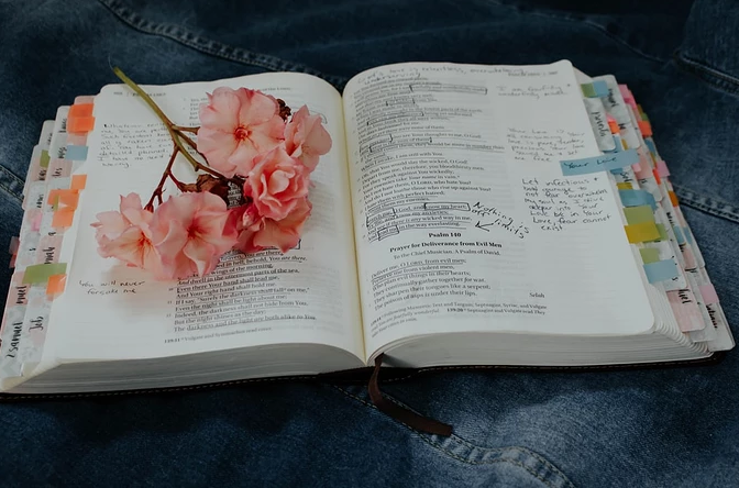 四川学知学教育分享专升本会计专业《市场营销学》复习思路