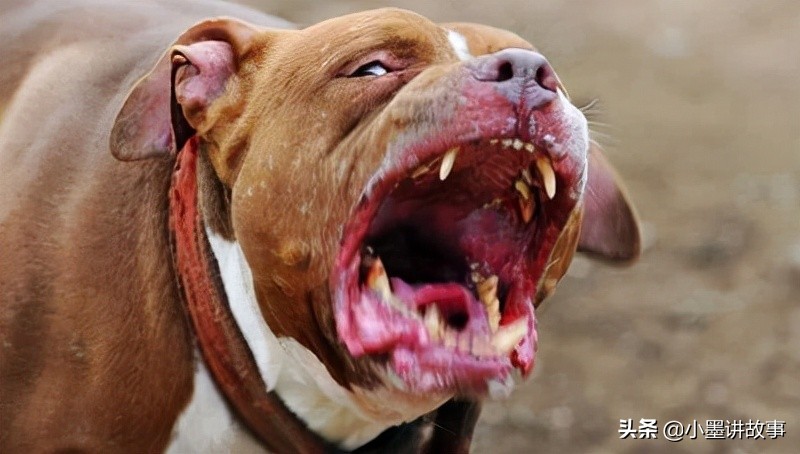 误杀：夏令营迷奸女同学惹杀身之祸，身为“官二代”其实很悲哀