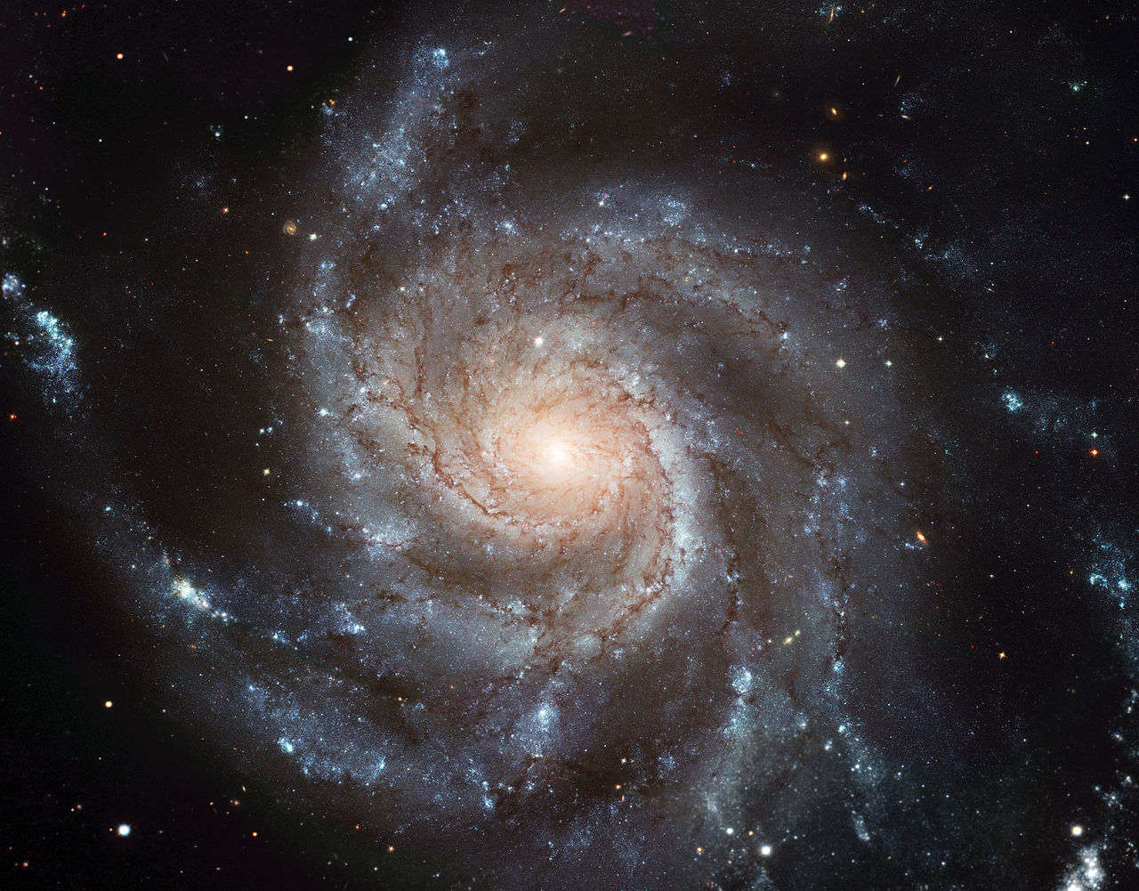 风车星系DIY教程，走近银河的漩涡，带孩子探索趣味天文