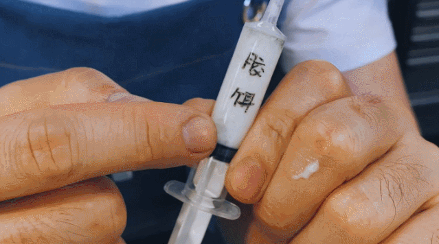 前央视主持人创业拍视频，做各种“奇怪”模型，引360万人围观点赞