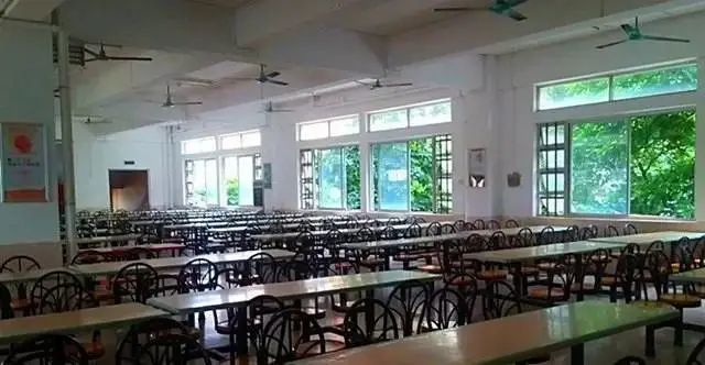 高职高考必看｜全面了解广东岭南职业技术学院