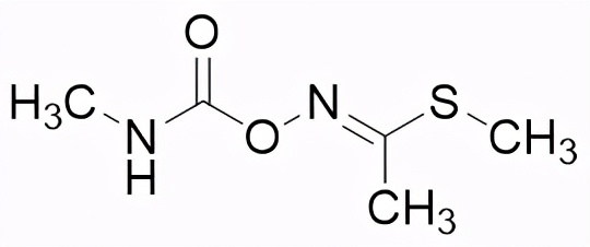 甲基异柳磷中毒图片