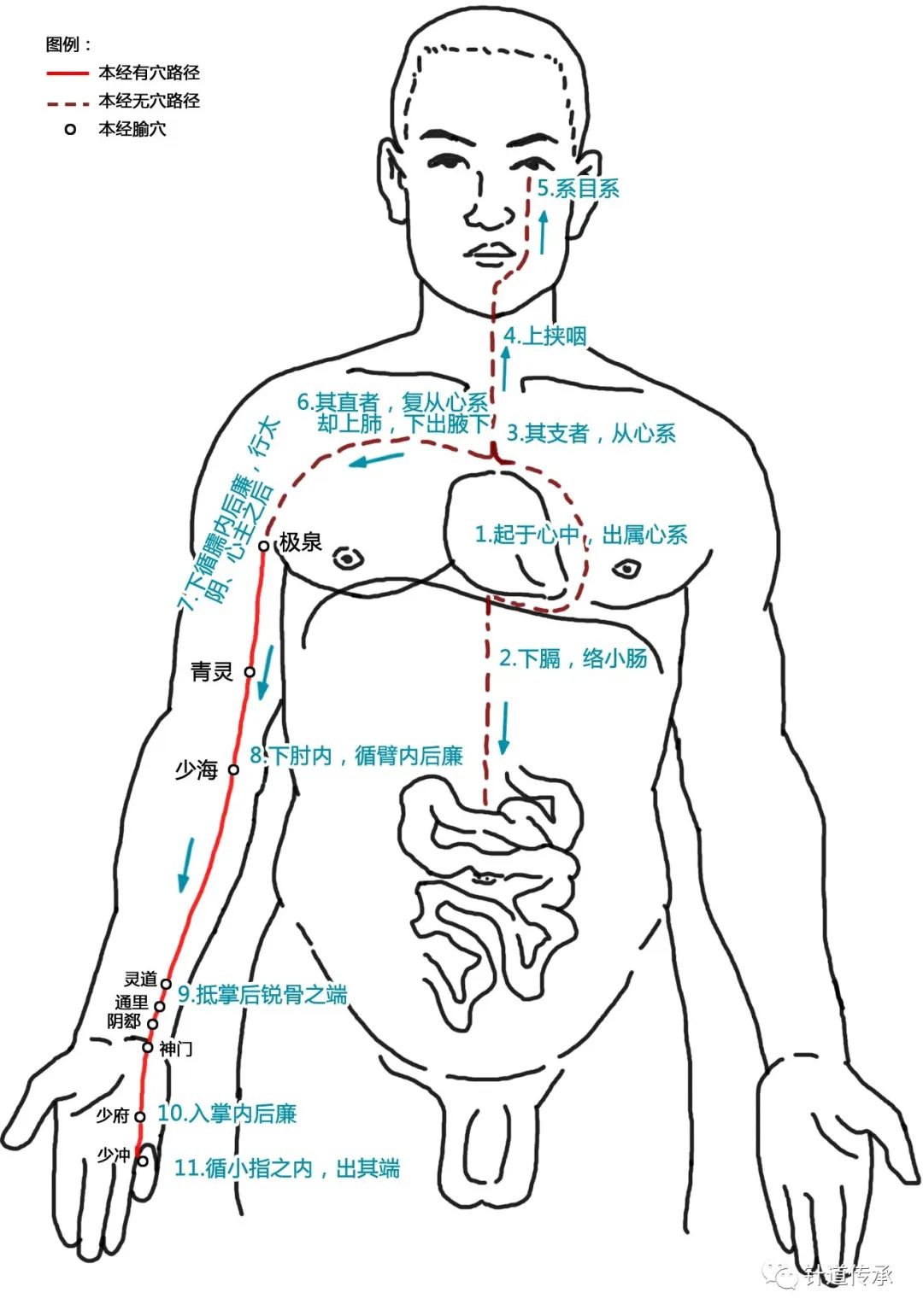 十二经脉太难记？这篇十二经脉解读汇总全告诉你！附歌诀、高清图