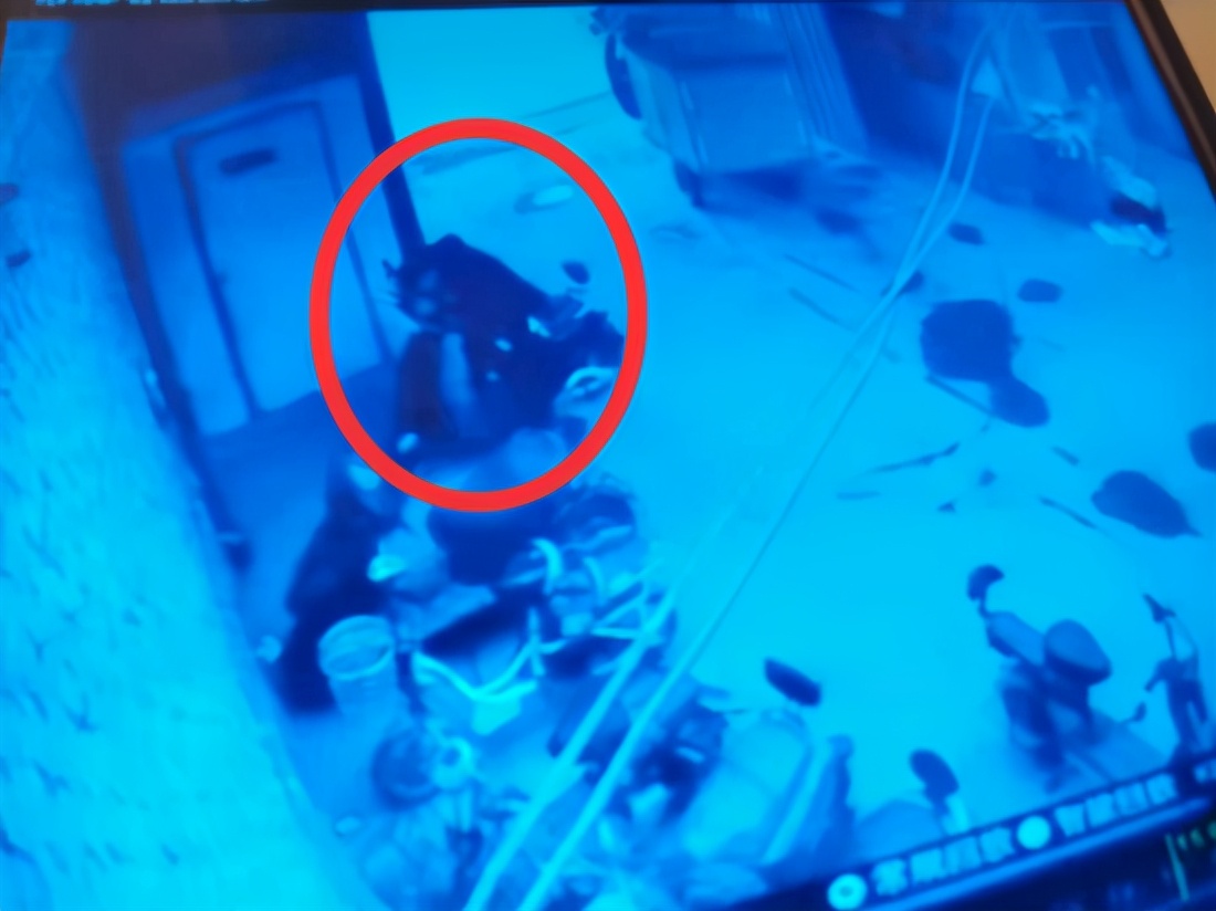 中通快递员意外死亡之后