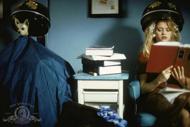 这部小妞电影，一定会颠覆你对法律工作者的印象