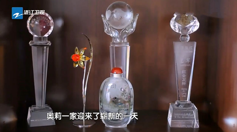 李小鹏家装修实录：奖杯点缀温馨居所