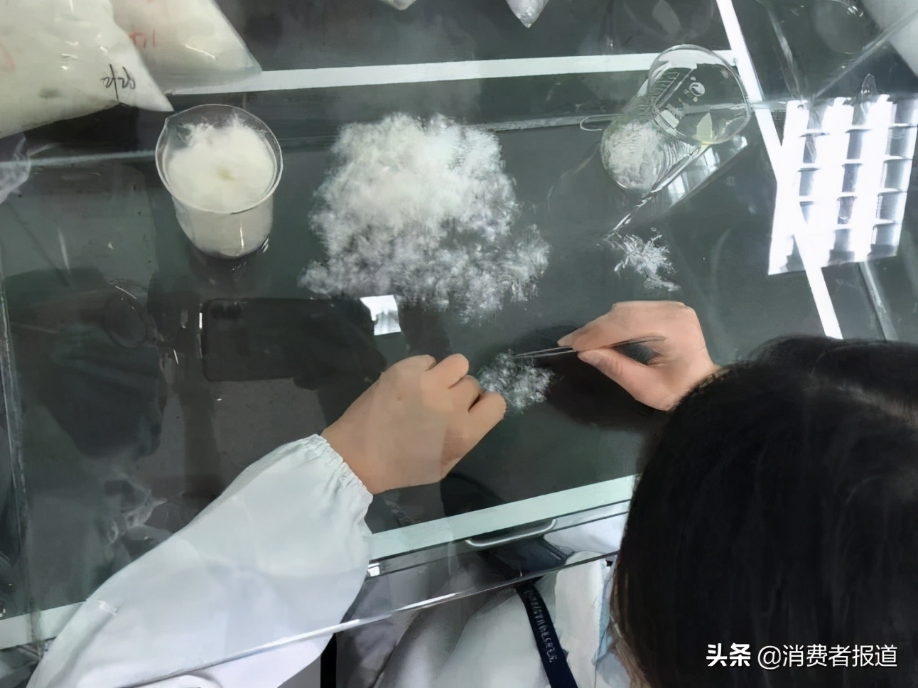 羽绒服抽检报告：899批次不合格；波司登、李宁等上黑榜