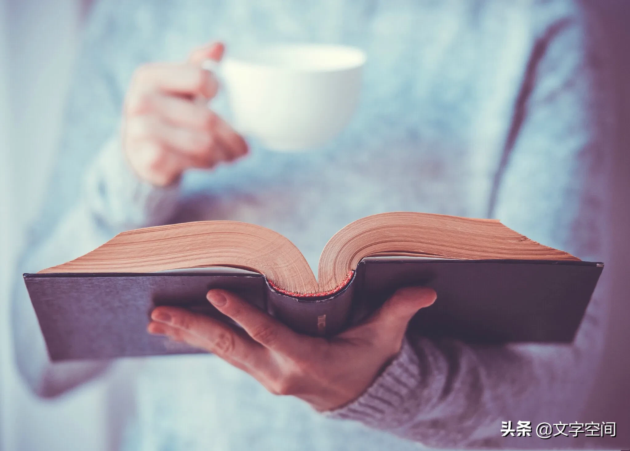学习,是治愈一切的良药;文字,是通往灵魂的桥梁