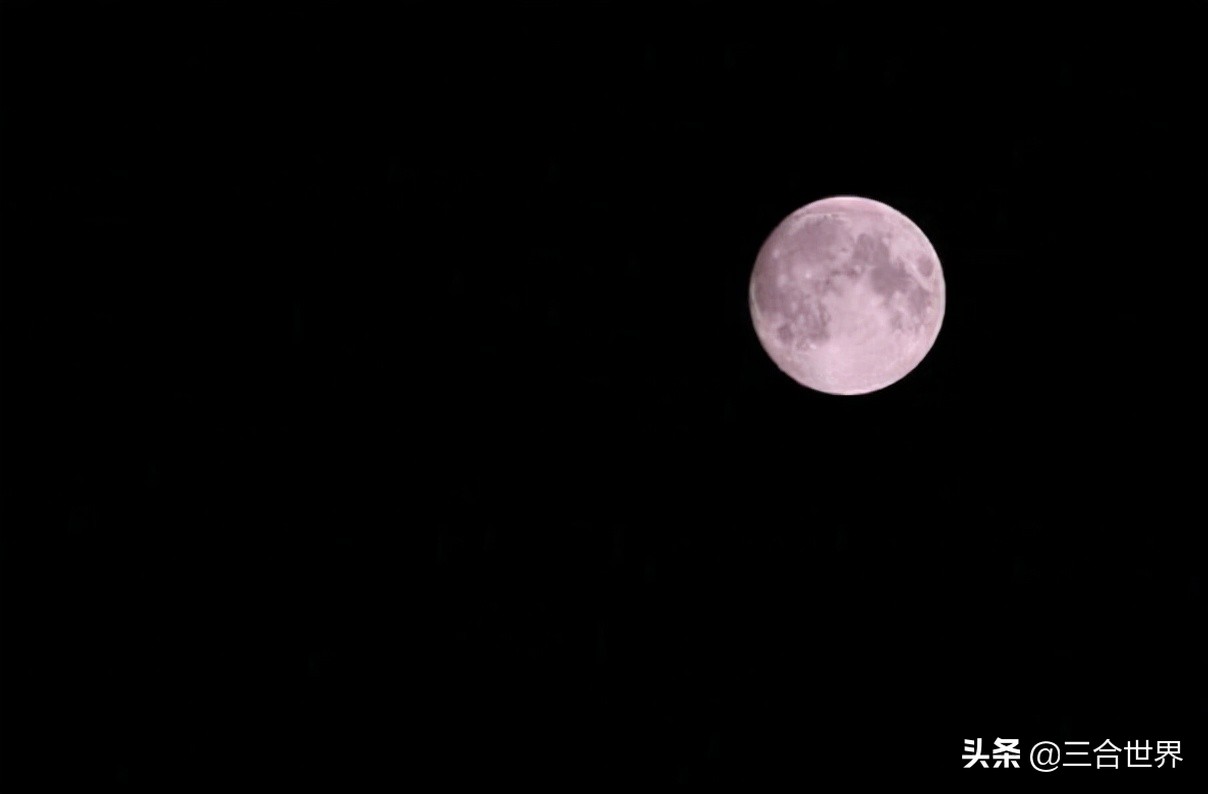 上古八大神兽—青龙、白虎、玄武、朱雀、烛照、太阴幽荧、应龙