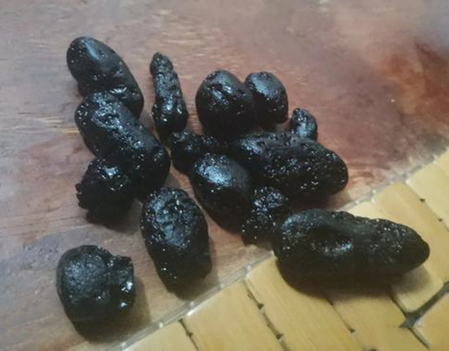 湛江农村有一种"天星屎",曾炒到几千一克,有人还被骗了钱