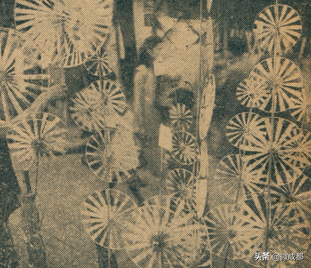 20世纪初，成都青羊宫花会盛景（多图）