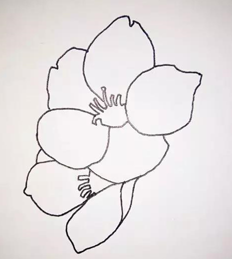 桃花简笔画:一步一步教你画桃花的教程,简单又好看,你想学吗?