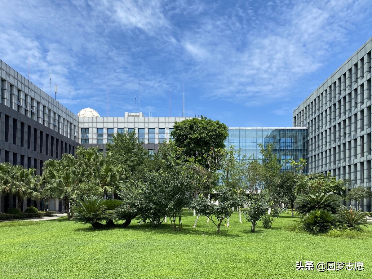 那些本科学校招大专生（2021年高考）