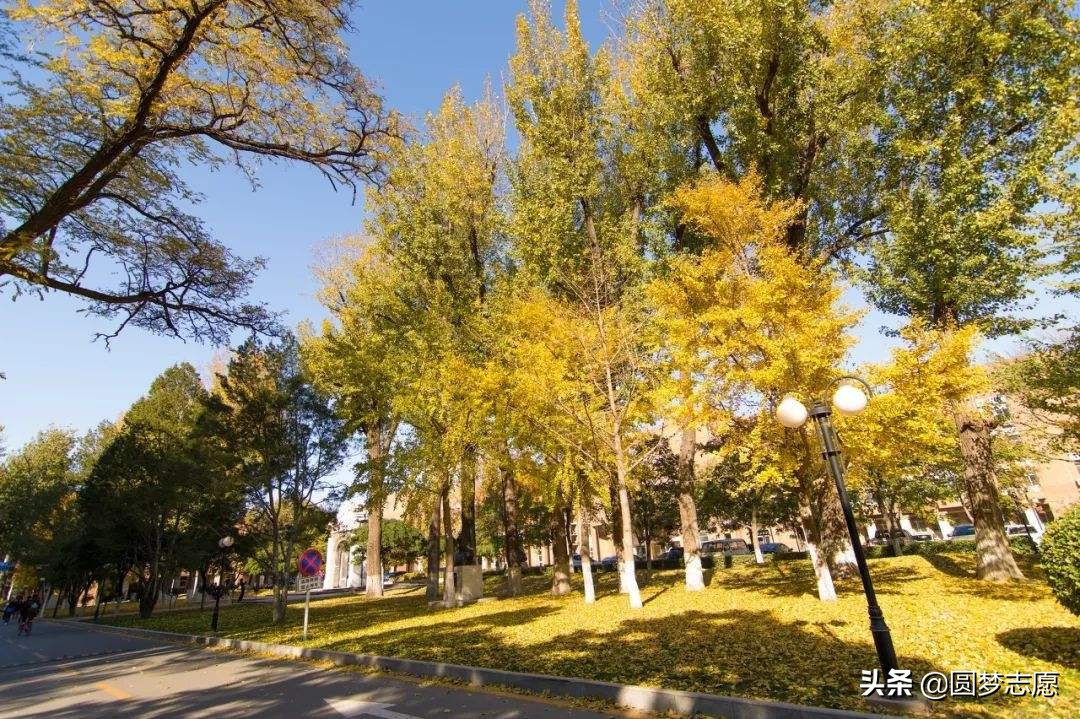 全国排名前50的中国农业大学为什么又冷门又不讨喜？