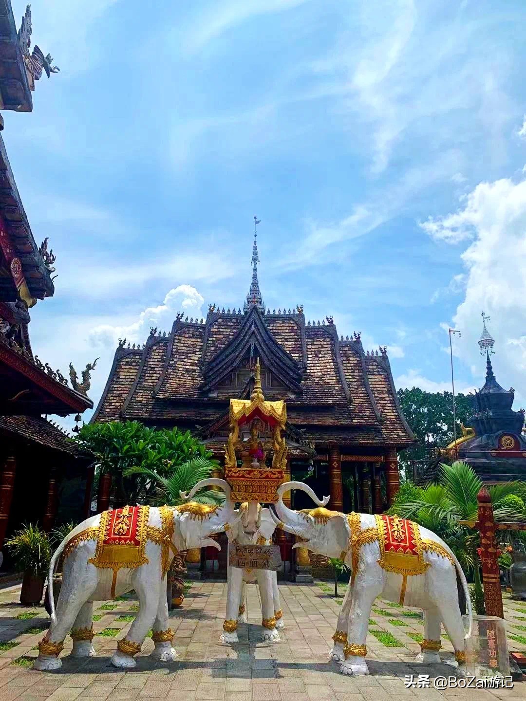 去雲南省西雙版納主要的景點要看哪些雲南西雙版納旅遊必去的景點推薦