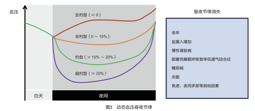 血压动态监测，多数高血压患者都应做一下，有四个重要作用