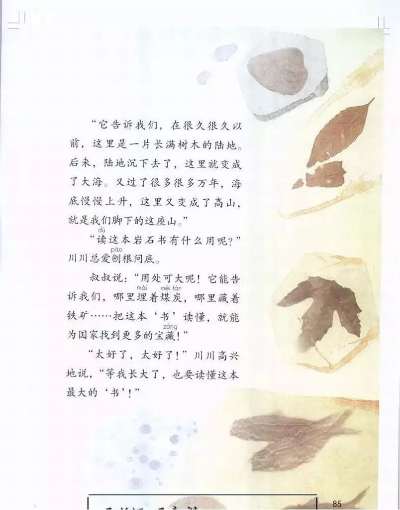 部编版1-6年级下册电子课本已更新！高清版，寒假预习抢先看