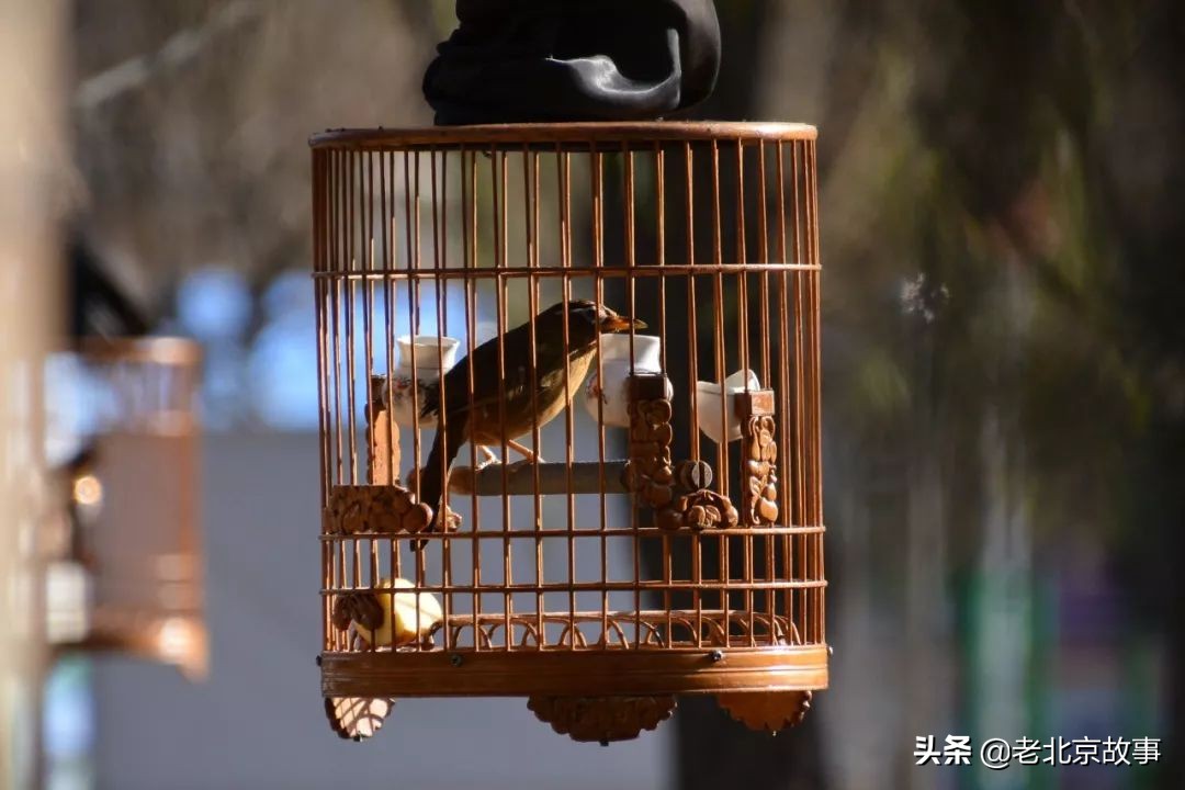 别让京片子在您嘴里消失！北京人请说北京话（附最全北京话合集）