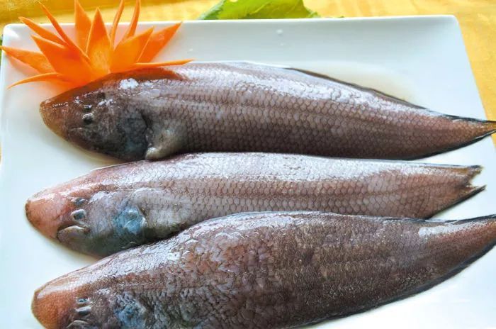 海鱼有哪些品种，海鱼便宜好吃的5种品种？