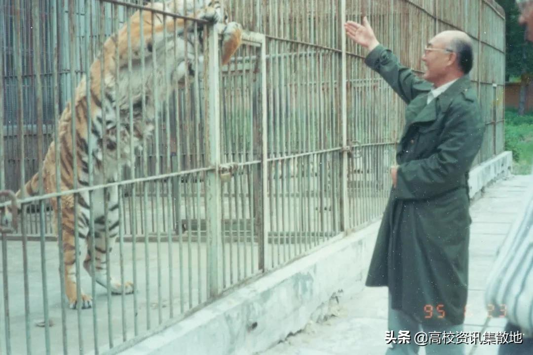 王牌专业就业率竟然最低！探寻东北林业高校的翘楚