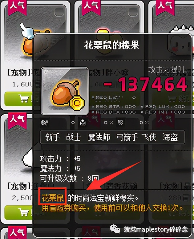 冒险岛宠物相关知识科普