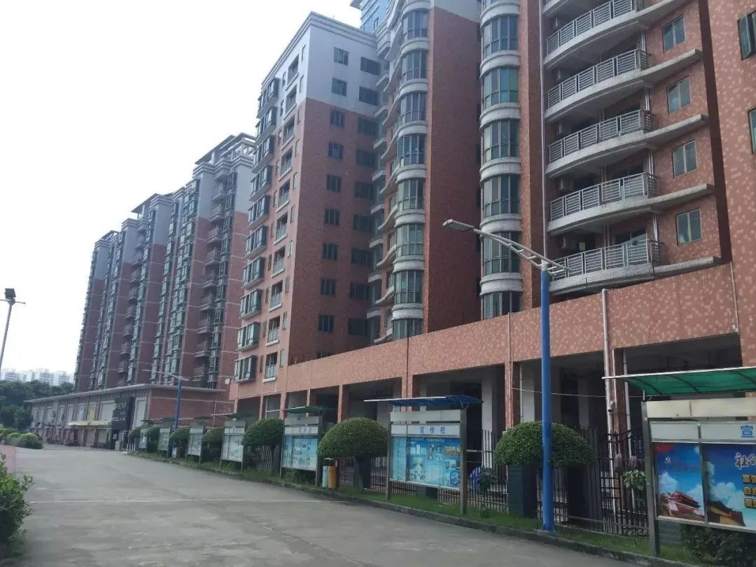 高职高考必看｜全面了解广东科技学院