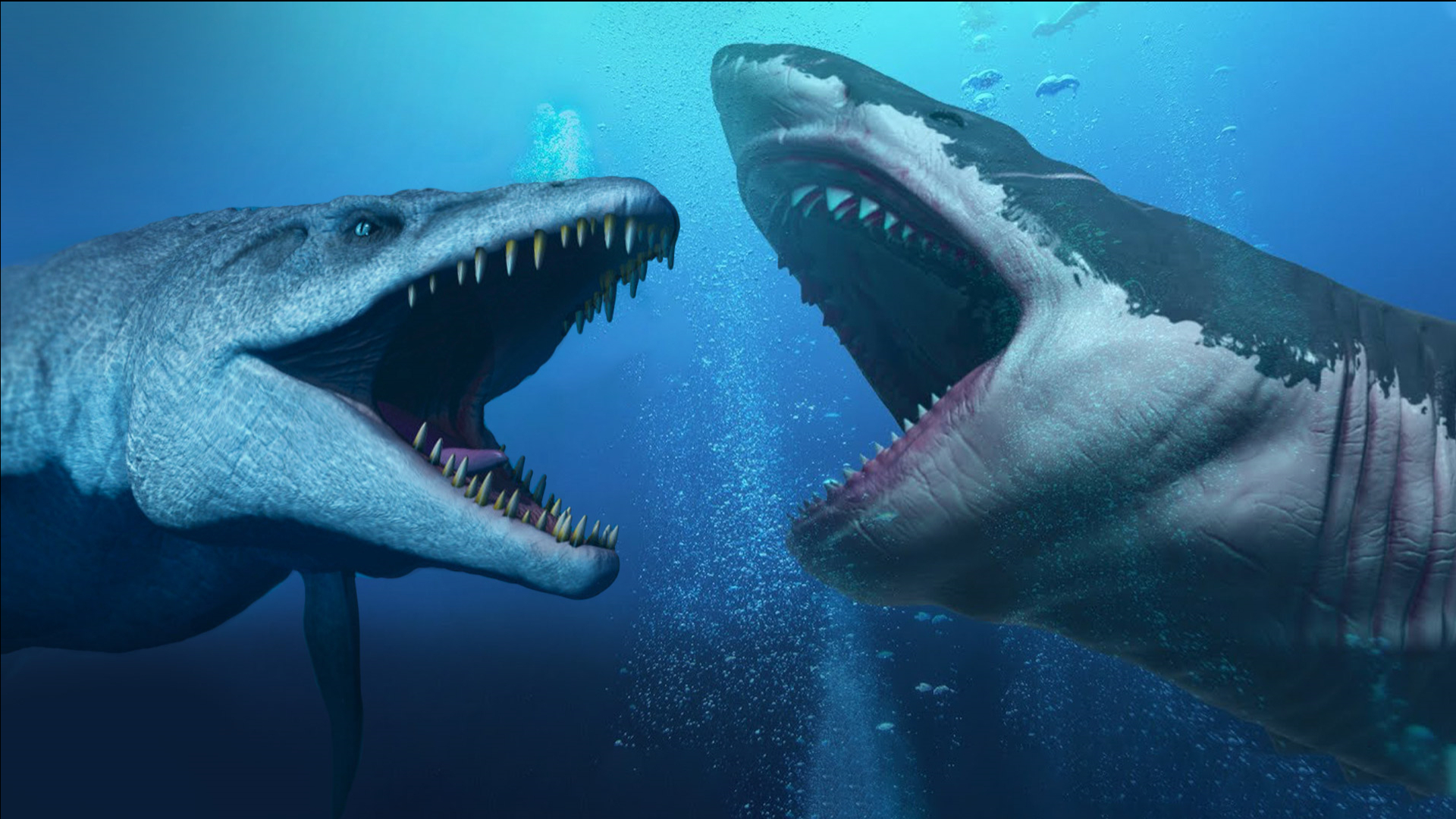 盘点5种轻松秒杀巨齿鲨的史前动物，巨型乌贼入选，沧龙仅排第3