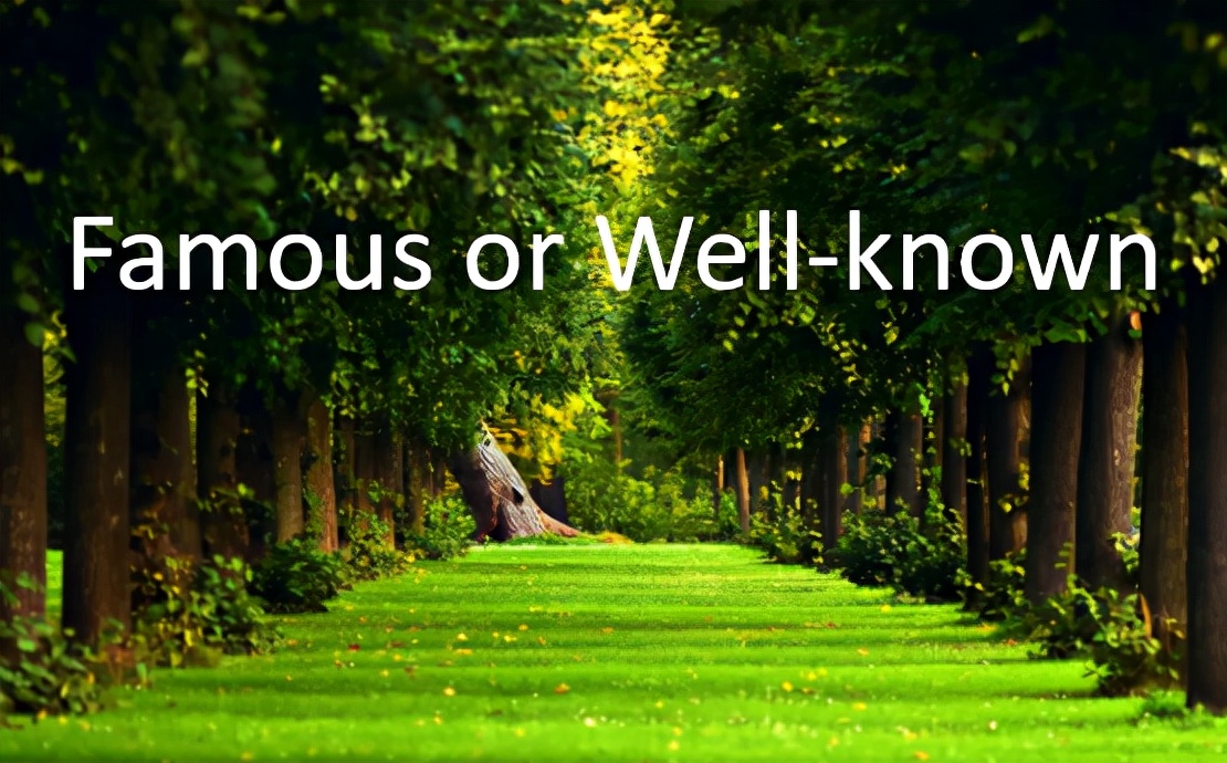 Famous与well-known的区别