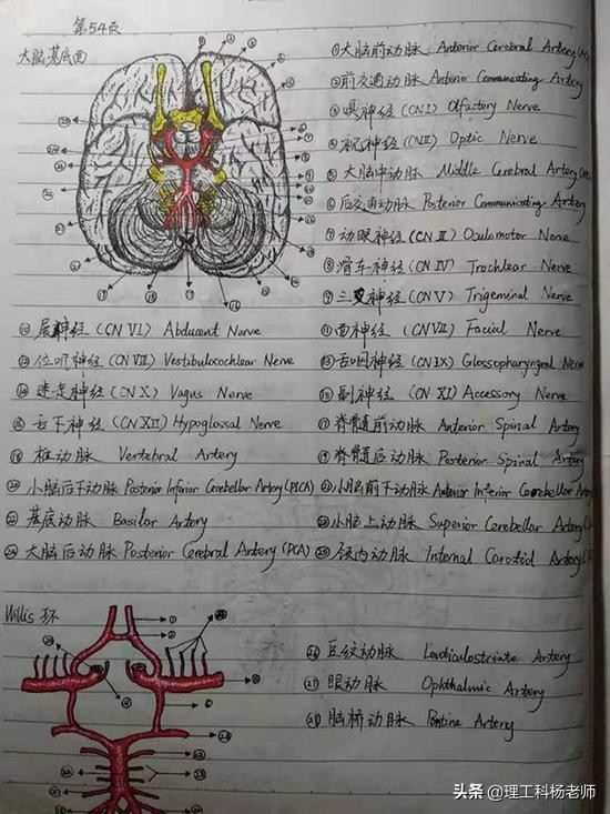 （10）考研专业之最“难学”的专业@“医学专业”