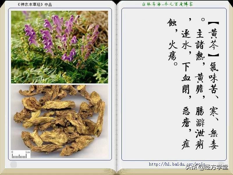 《神农本草经》全册图文解析 建议收藏