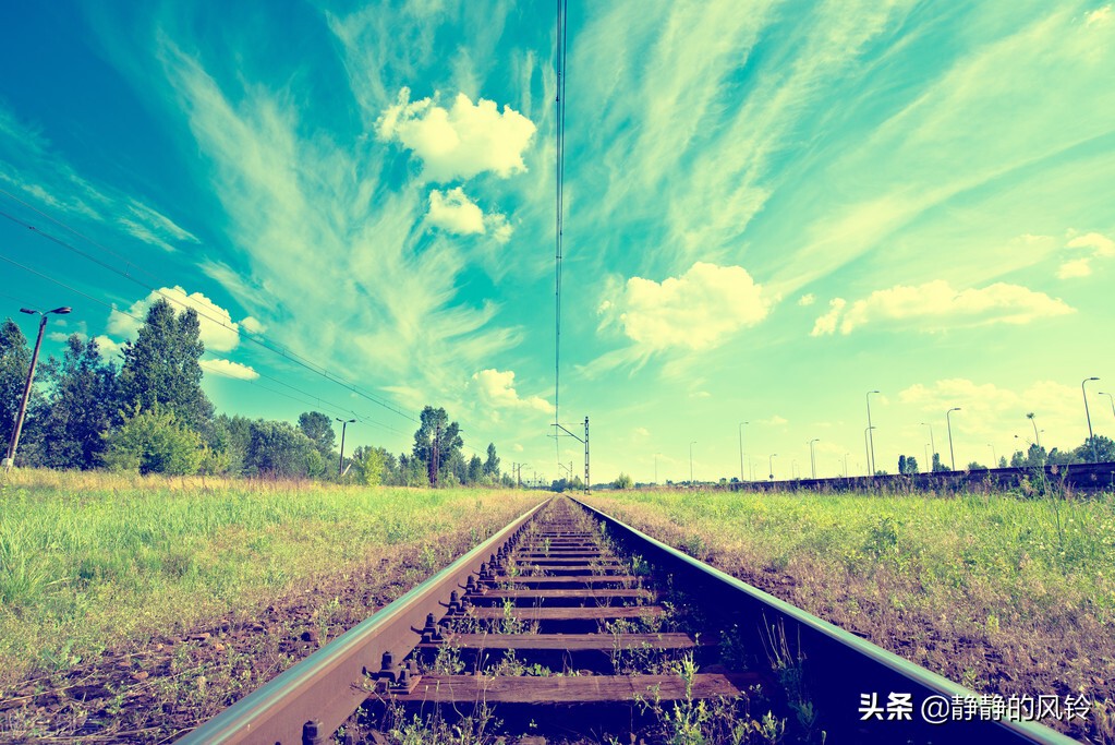 蒹葭苍苍、白露为霜。白露，一个如诗般优美的节气