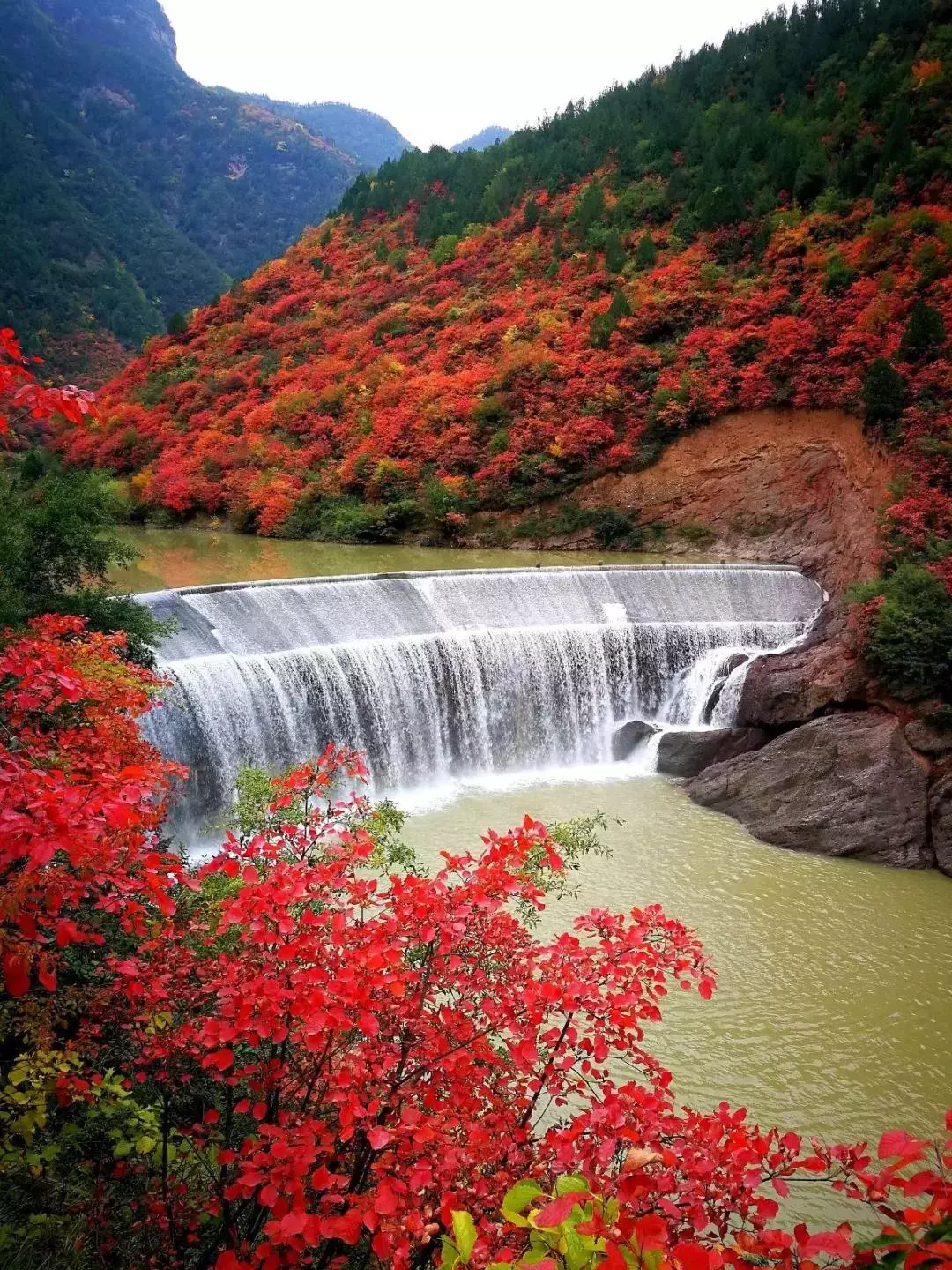 中国醉美秋色在秦岭,2条自驾路线解锁最绚烂秋景,10月最美