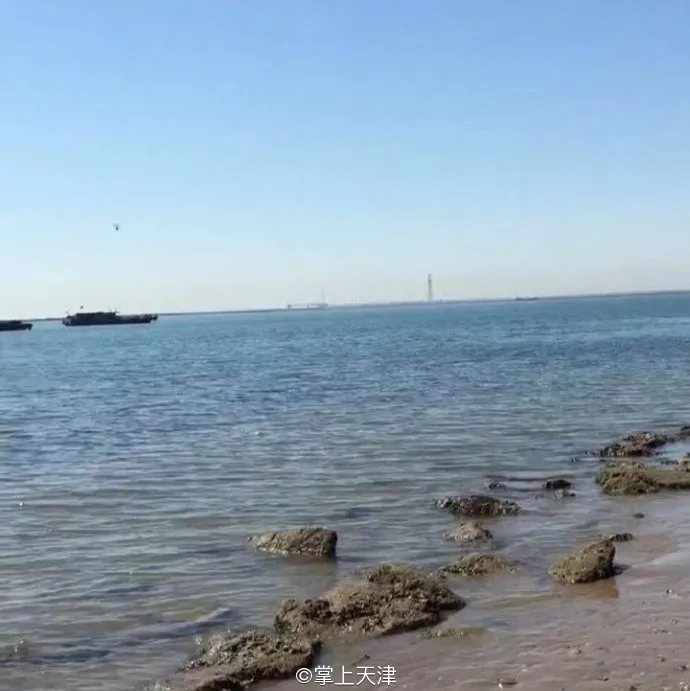 赶海拾贝挖蛤蜊，天津这些地儿你都去过吗？
