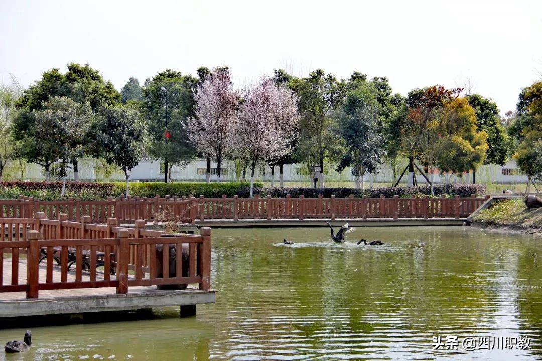 2所大学和1所中职强强联合，下岗工人等群体在春季读全日制大学