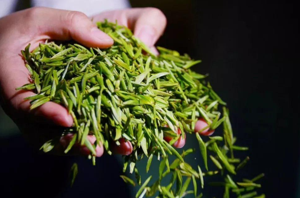 南京雨花茶的前生今世：为何创制不足一年，就能成为十大名茶？
