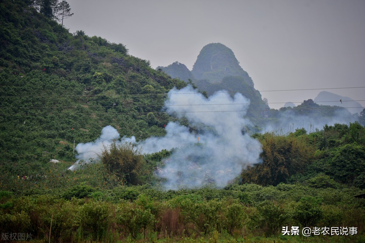 俗语：清明上坟四忌讳，做了四忌有晦气，啥意思？哪四事不能做？