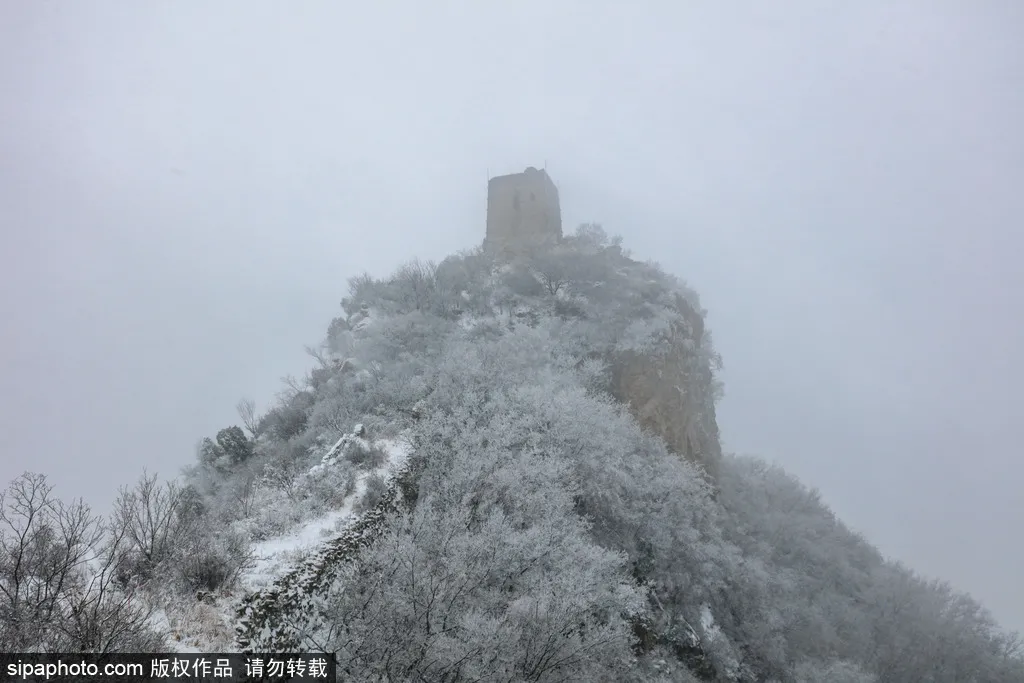 节气小雪丨天寒地冻，北京这里桃花却开了！（文末有福利）