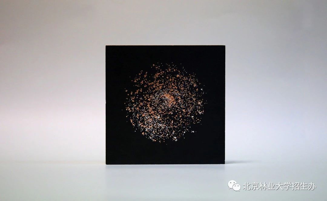 为了讲好八个字的校训，这所学校用了三年...