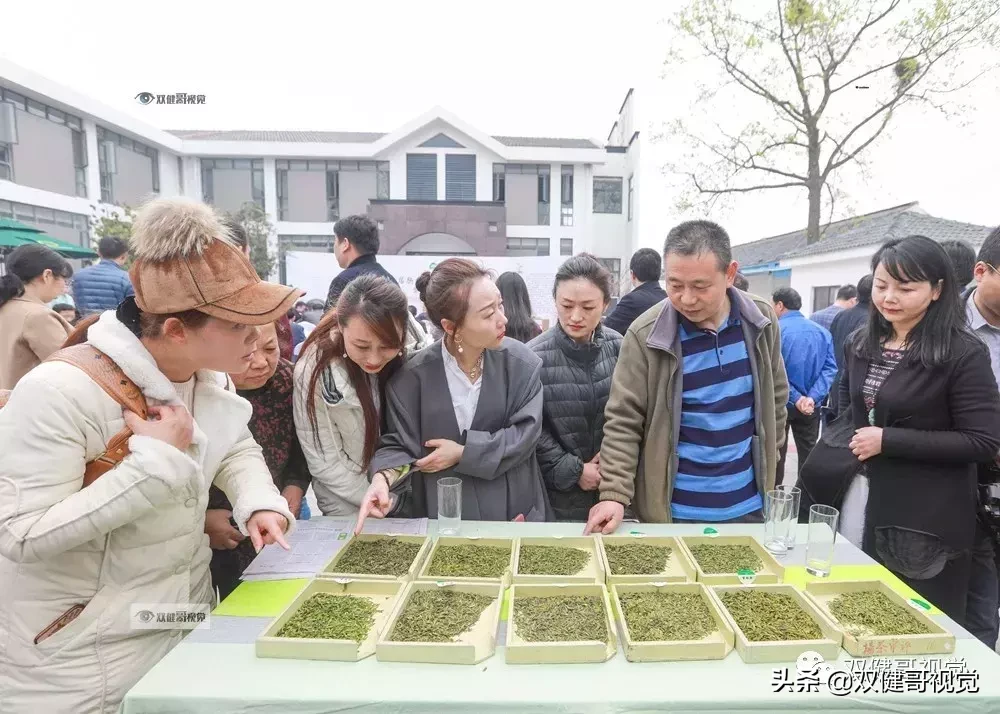 第三届扬州市绿杨春茶开采节暨明前茶品鉴会
