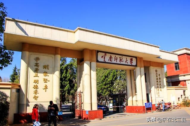 2020年云南省最好大学排名，仅有的1所双一流高校排名第2位
