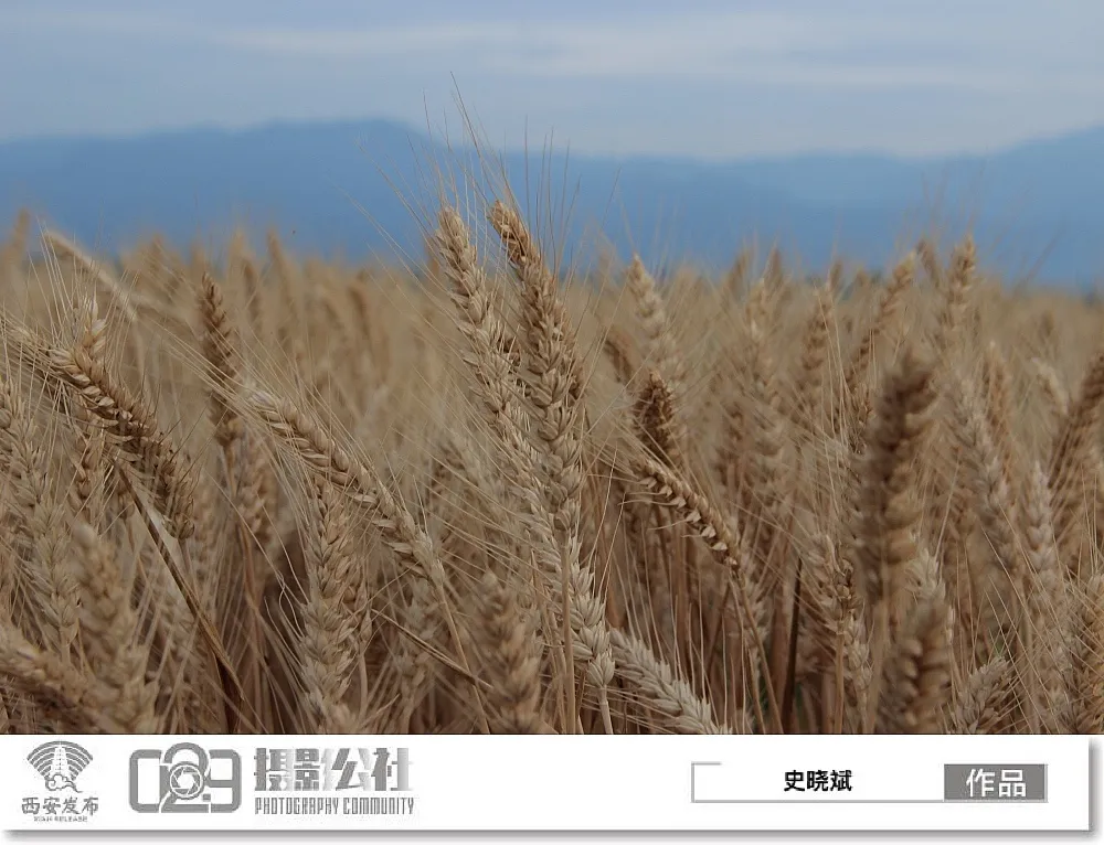 早安·西安丨6月24日可查询高考成绩