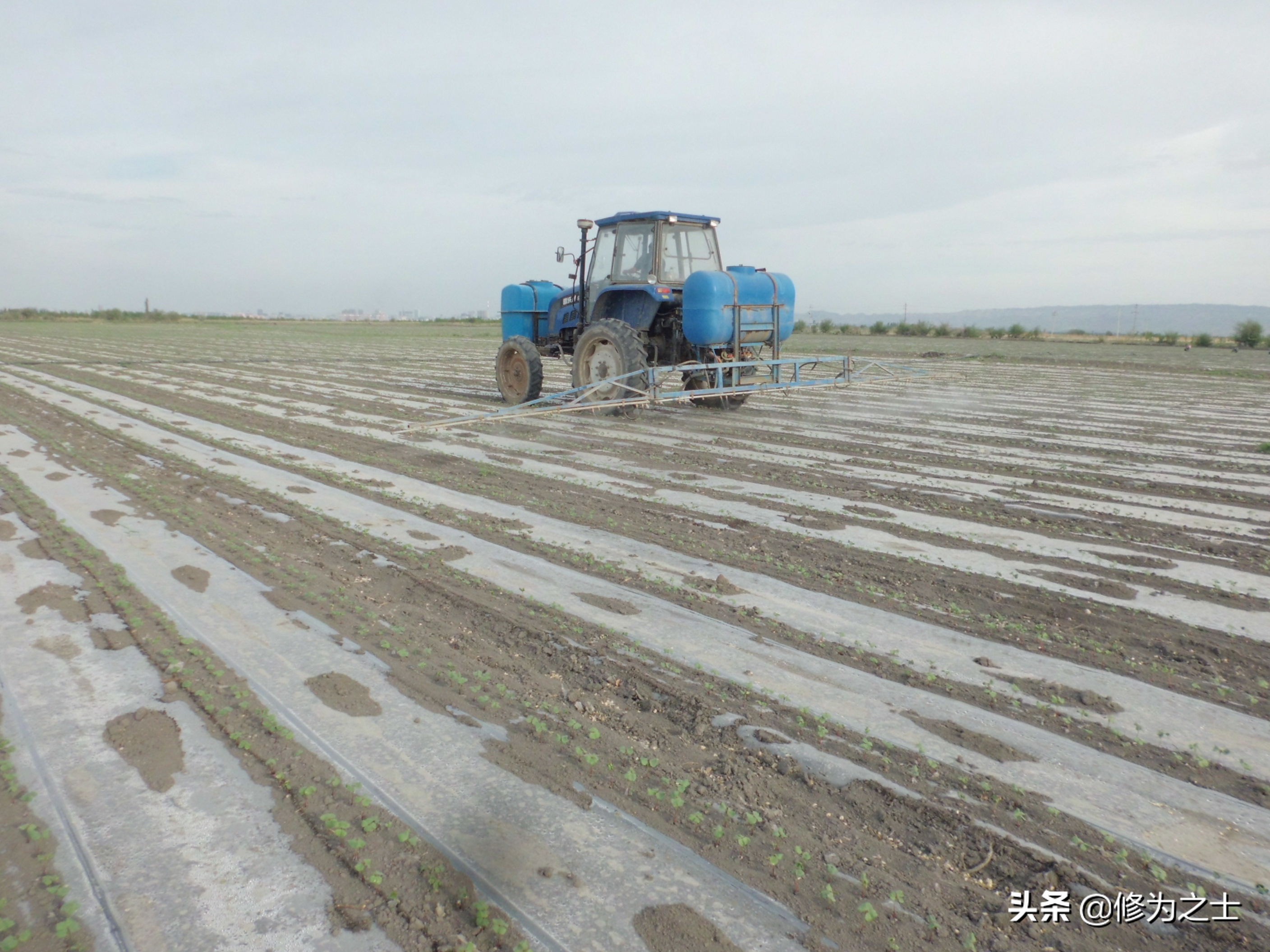 村民申请农机补贴程序有哪些，具体怎么办理？还不清楚的赶紧看