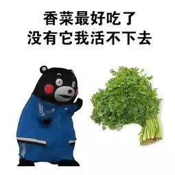 der什么意思(​怎么用英文表示“不加香菜”？)